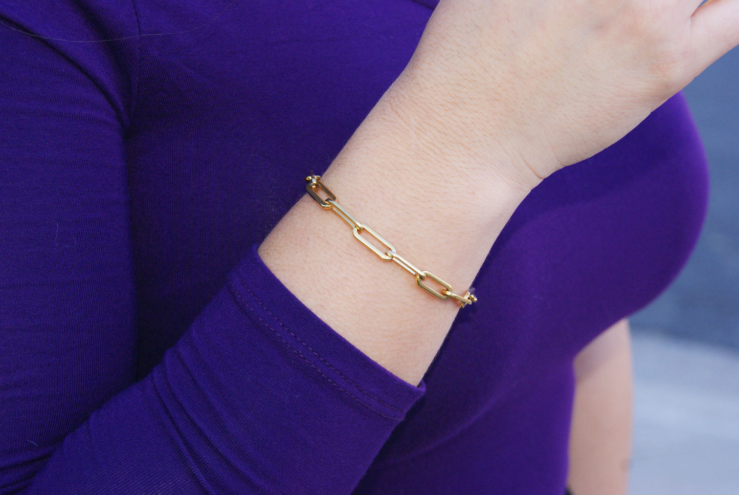 Clip Chain Bracelet